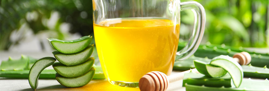 Disponible en boissons, en crèmes, etc., la pulpe d’aloe vera est bénéfique pour la santé. Avant de choisir une marque, il faut vérifier l’emballage du produit.