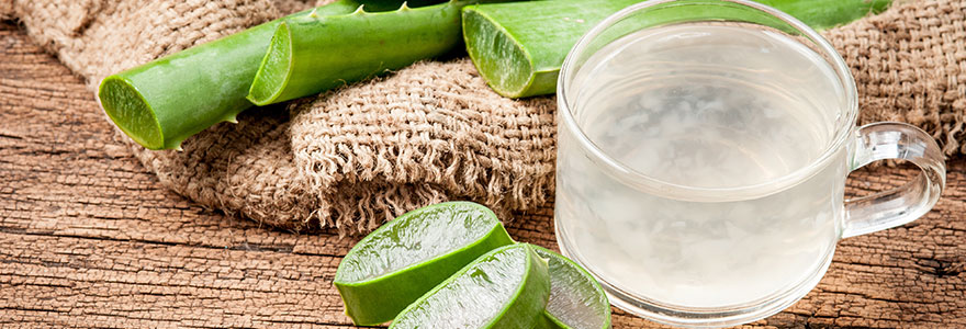 jus aloe vera de qualite