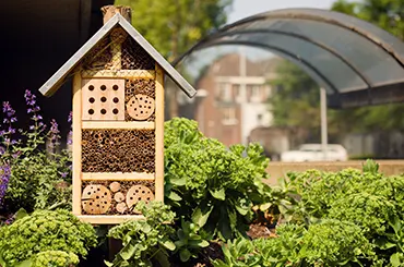 Attirez les auxiliaires pour un jardin naturel
